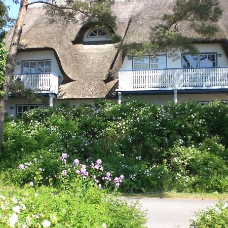 Achtern - Diek - Am Strand Zingst Eksteriør bilde