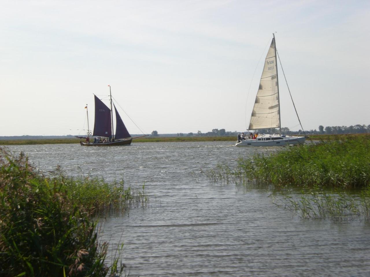 Achtern - Diek - Am Strand Zingst Eksteriør bilde