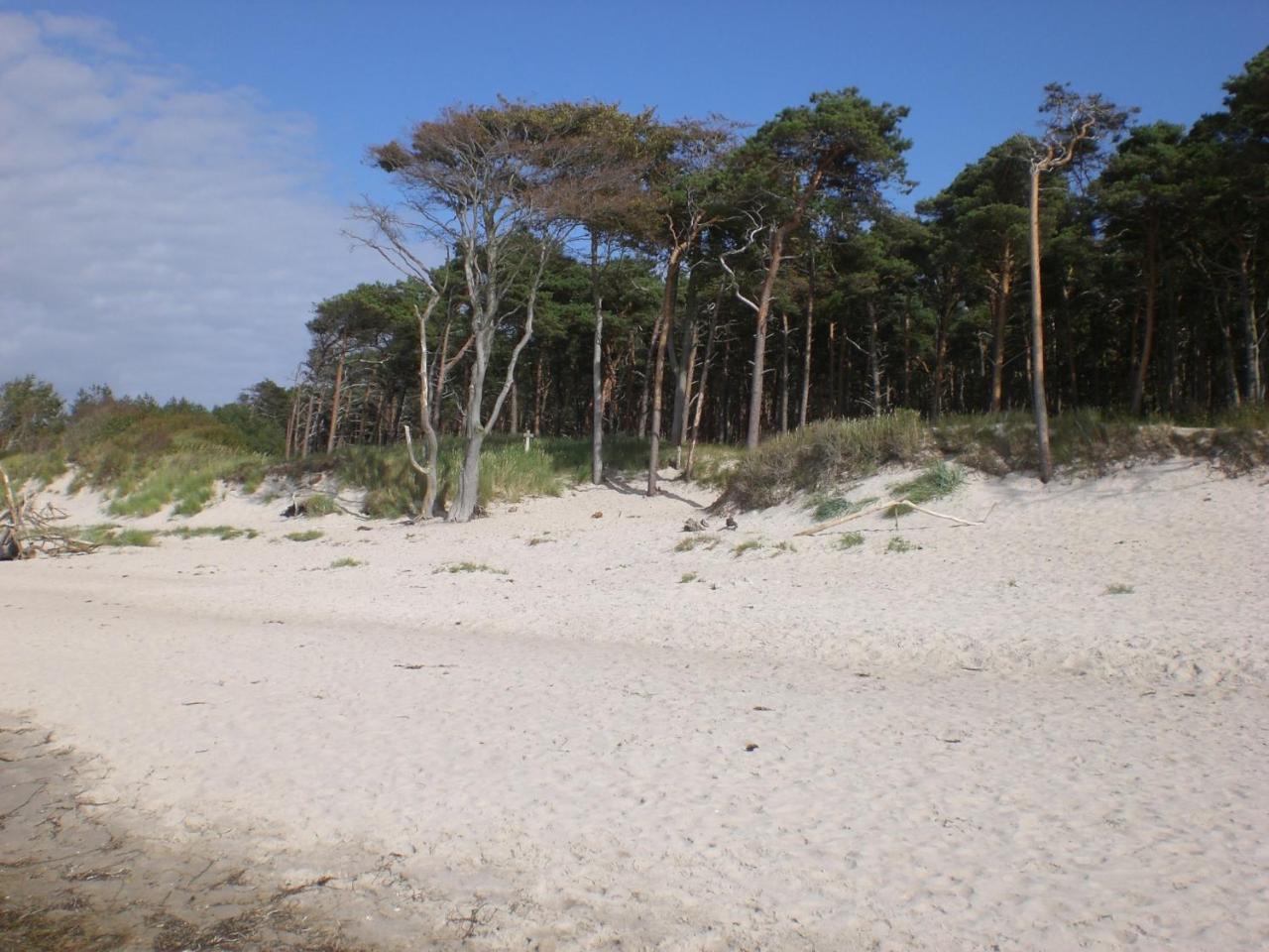 Achtern - Diek - Am Strand Zingst Eksteriør bilde