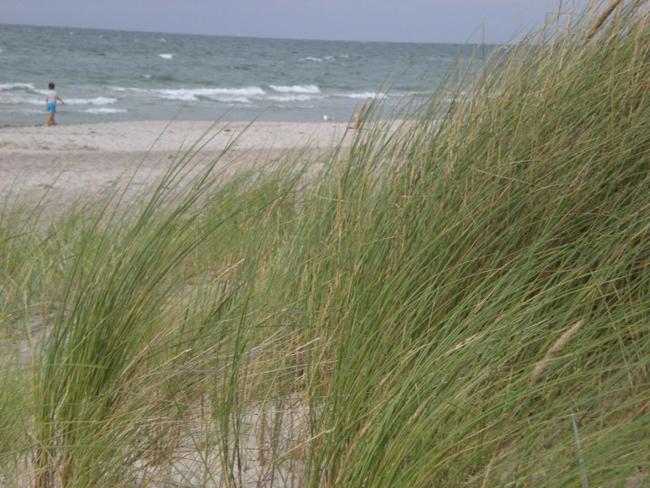 Achtern - Diek - Am Strand Zingst Eksteriør bilde