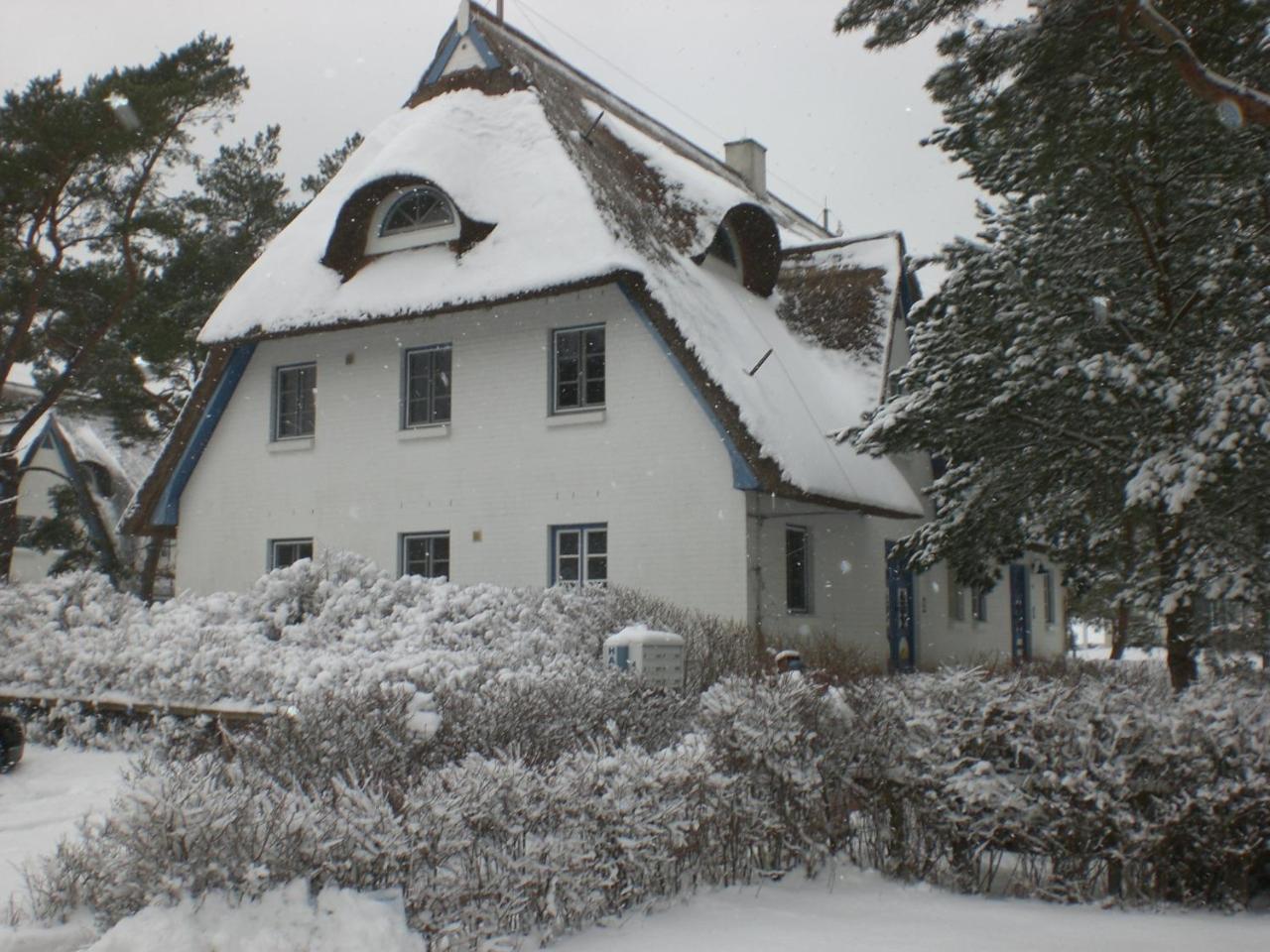 Achtern - Diek - Am Strand Zingst Eksteriør bilde