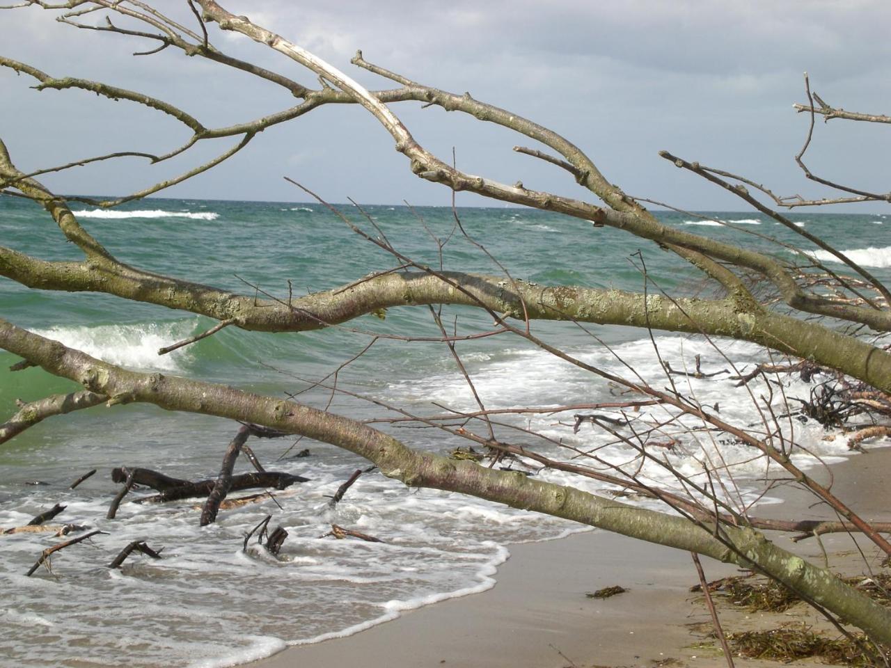 Achtern - Diek - Am Strand Zingst Eksteriør bilde
