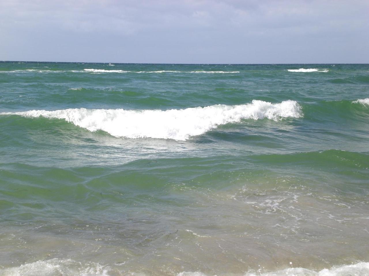 Achtern - Diek - Am Strand Zingst Eksteriør bilde