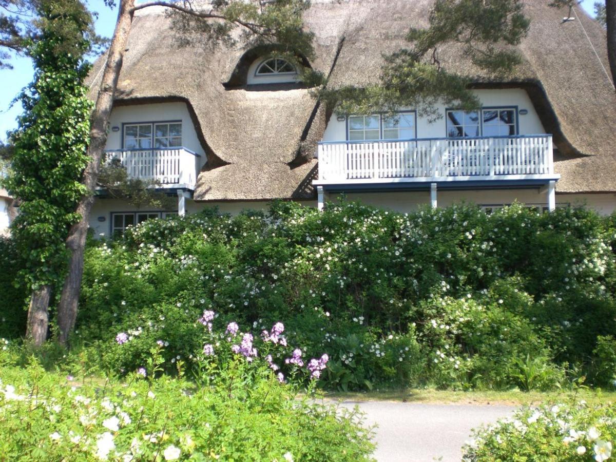 Achtern - Diek - Am Strand Zingst Eksteriør bilde