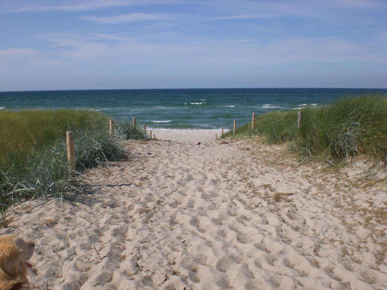 Achtern - Diek - Am Strand Zingst Eksteriør bilde